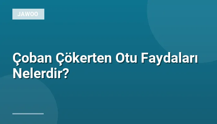 Çoban Çökerten Otu Faydaları Nelerdir?