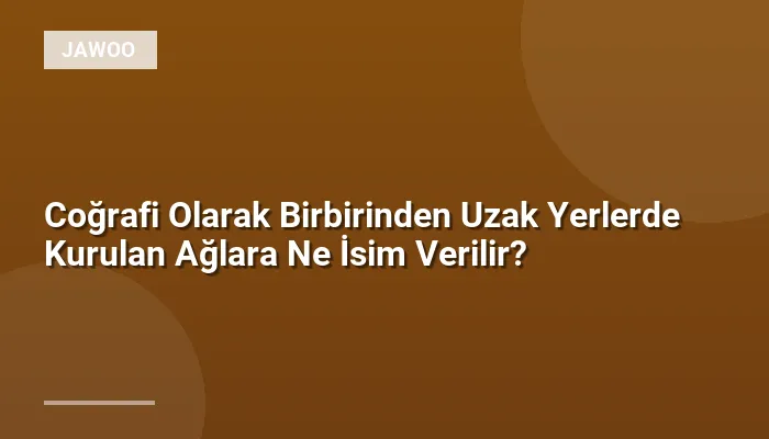 Coğrafi Olarak Birbirinden Uzak Yerlerde Kurulan Ağlara Ne İsim Verilir?