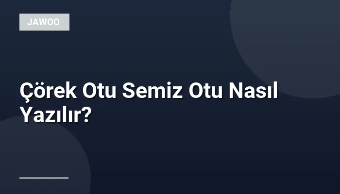 Çörek Otu Semiz Otu Nasıl Yazılır?