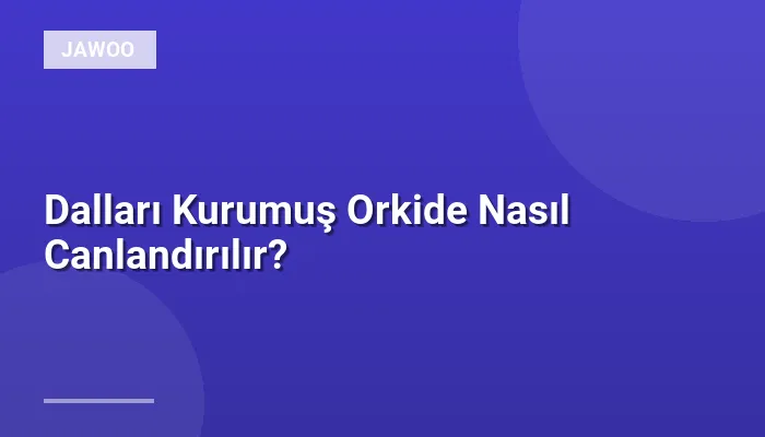 Dalları Kurumuş Orkide Nasıl Canlandırılır?