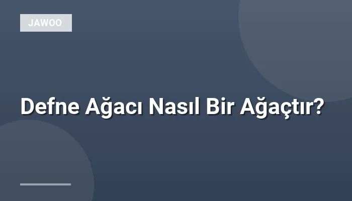 Defne Ağacı Nasıl Bir Ağaçtır?