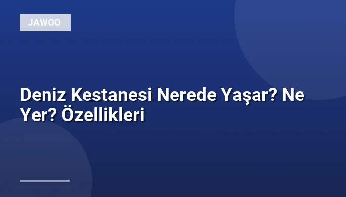 Deniz Kestanesi Nerede Yaşar? Ne Yer? Özellikleri