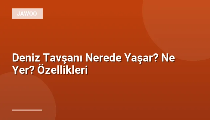 Deniz Tavşanı Nerede Yaşar? Ne Yer? Özellikleri