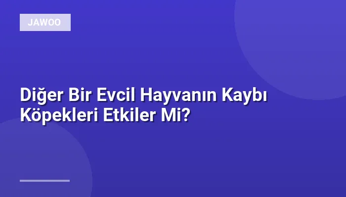 Diğer Bir Evcil Hayvanın Kaybı Köpekleri Etkiler Mi?