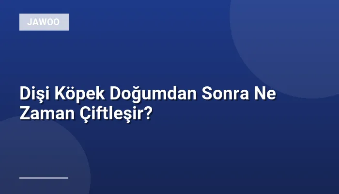 Dişi Köpek Doğumdan Sonra Ne Zaman Çiftleşir?