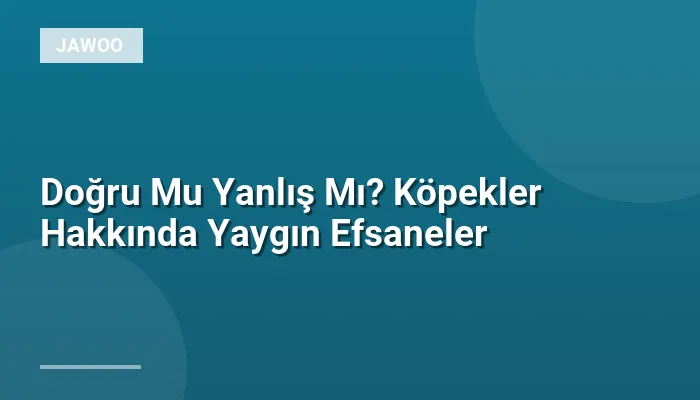 Doğru Mu Yanlış Mı? Köpekler Hakkında Yaygın Efsaneler