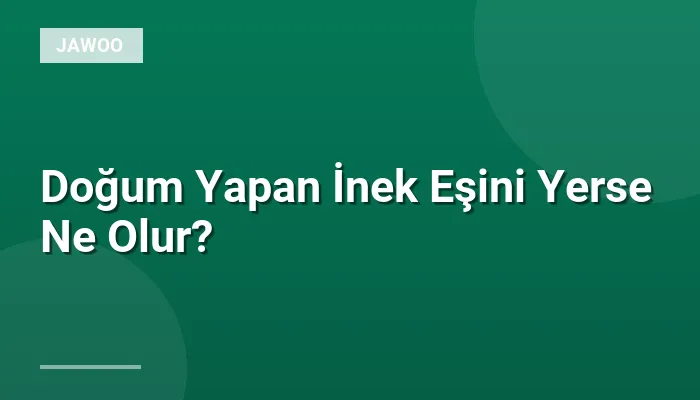 Doğum Yapan İnek Eşini Yerse Ne Olur?