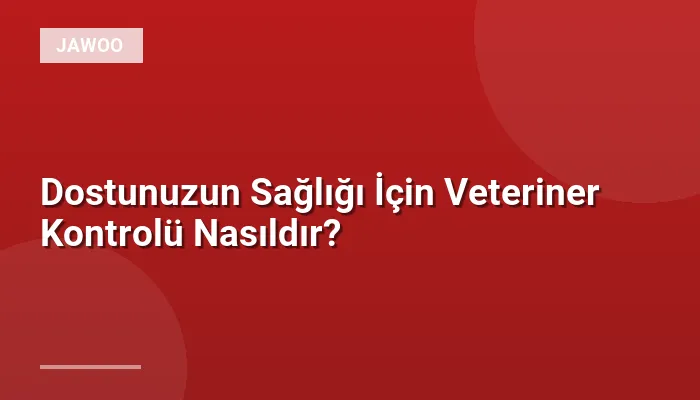 Dostunuzun Sağlığı İçin Veteriner Kontrolü Nasıldır?