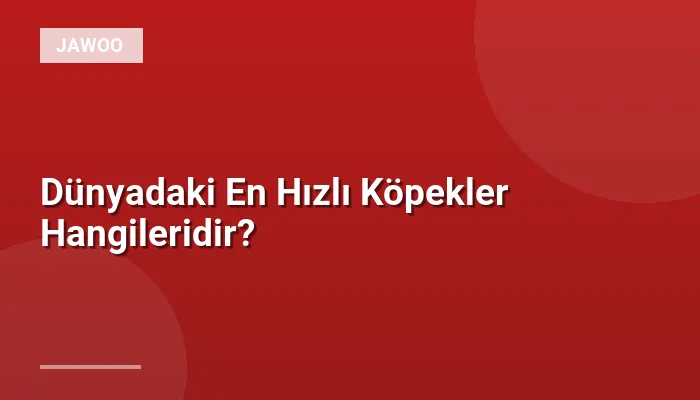 Dünyadaki En Hızlı Köpekler Hangileridir?