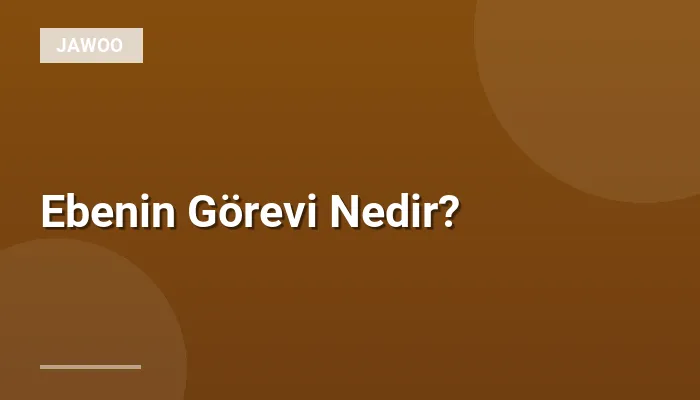 Ebenin Görevi Nedir?