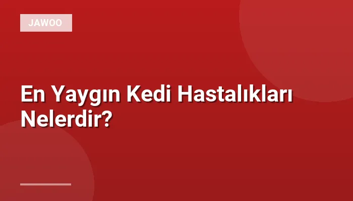 En Yaygın Kedi Hastalıkları Nelerdir?