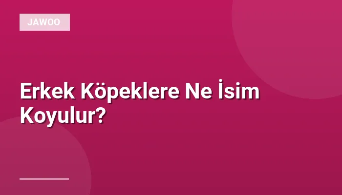Erkek Köpeklere Ne İsim Koyulur?