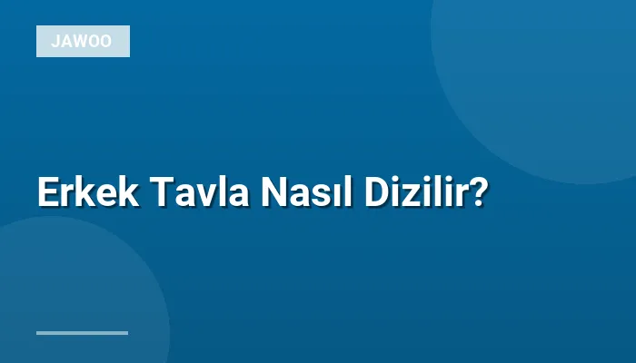 Erkek Tavla Nasıl Dizilir?
