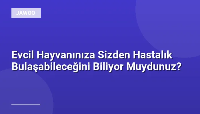 Evcil Hayvanınıza Sizden Hastalık Bulaşabileceğini Biliyor Muydunuz?