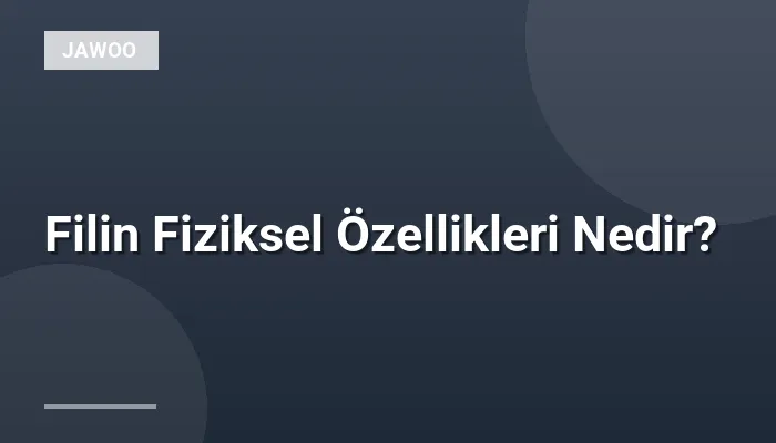 Filin Fiziksel Özellikleri Nedir?