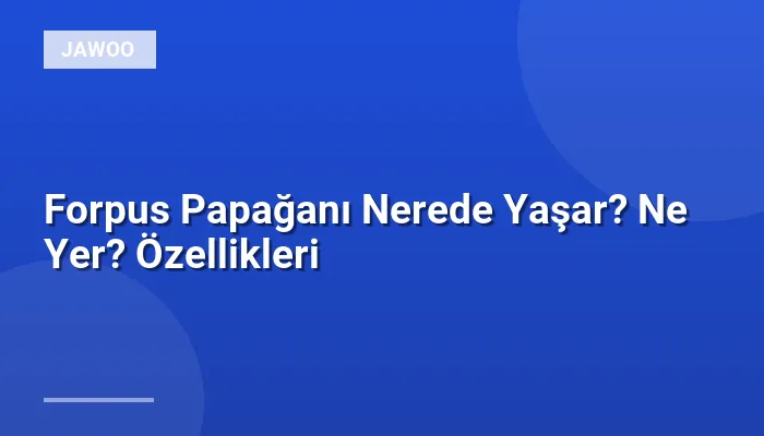 Forpus Papağanı Nerede Yaşar? Ne Yer? Özellikleri