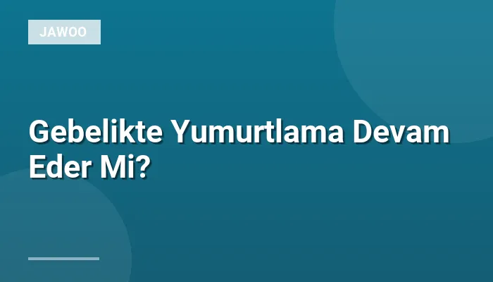 Gebelikte Yumurtlama Devam Eder Mi?