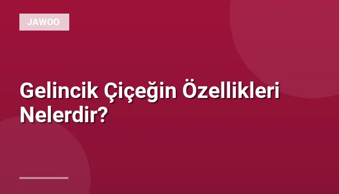Gelincik Çiçeğin Özellikleri Nelerdir?