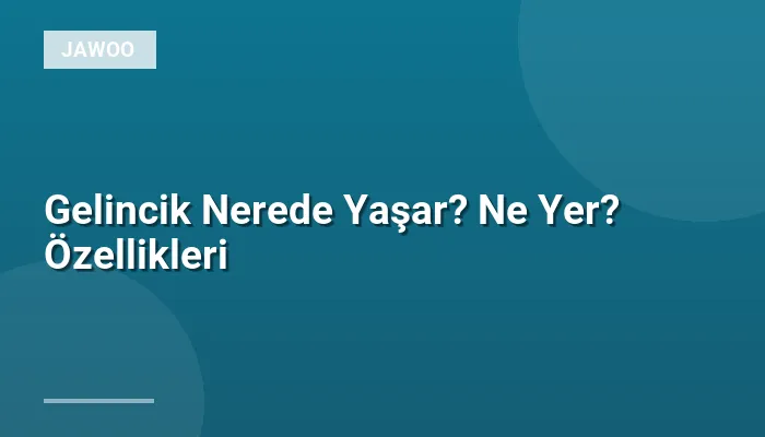 Gelincik Nerede Yaşar? Ne Yer? Özellikleri