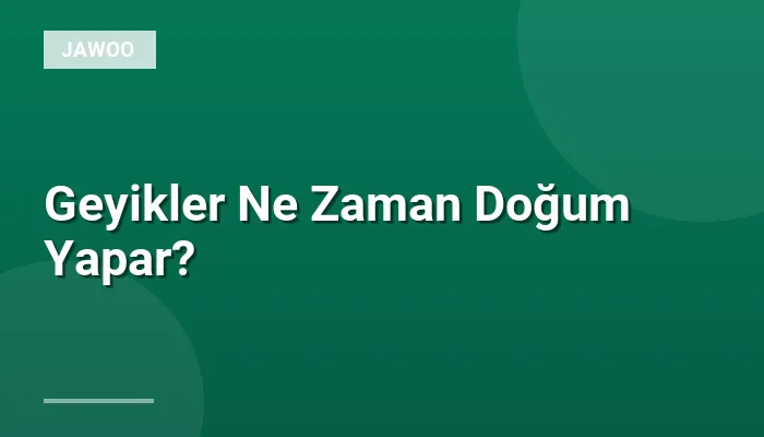 Geyikler Ne Zaman Doğum Yapar?