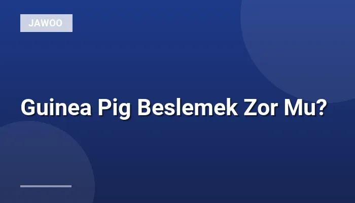 Guinea Pig Beslemek Zor Mu?