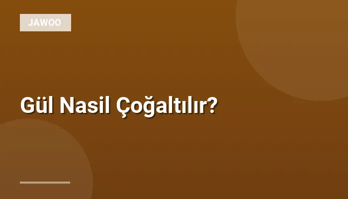Gül Nasil Çoğaltılır?