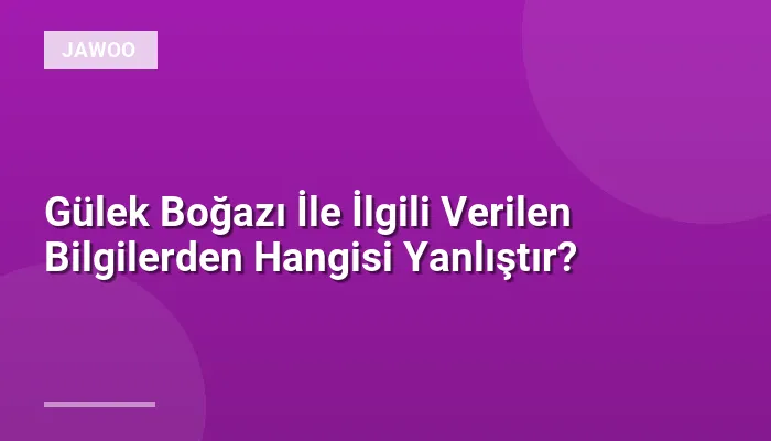 Gülek Boğazı İle İlgili Verilen Bilgilerden Hangisi Yanlıştır?