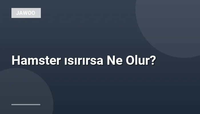 Hamster ısırırsa Ne Olur?