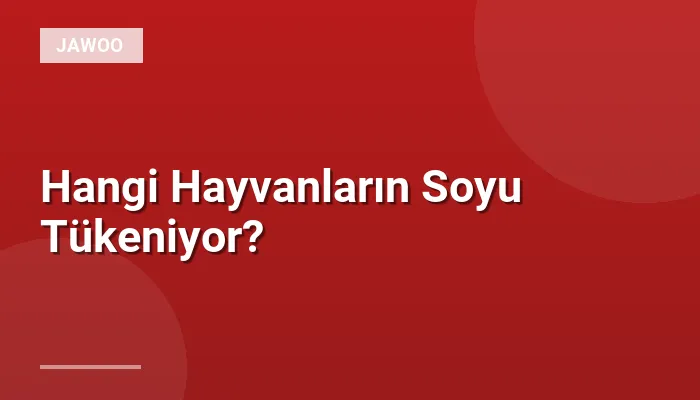 Hangi Hayvanların Soyu Tükeniyor?
