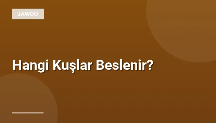 Hangi Kuşlar Beslenir?