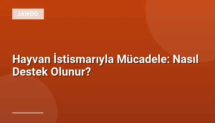 Hayvan İstismarıyla Mücadele: Nasıl Destek Olunur?