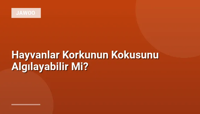 Hayvanlar Korkunun Kokusunu Algılayabilir Mi?