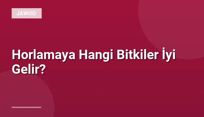 Horlamaya Hangi Bitkiler İyi Gelir?