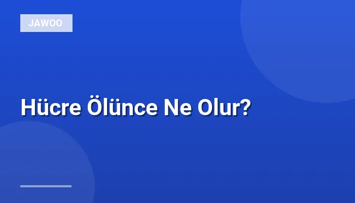 Hücre Ölünce Ne Olur?