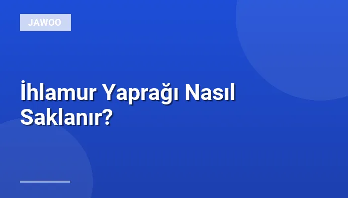 İhlamur Yaprağı Nasıl Saklanır?