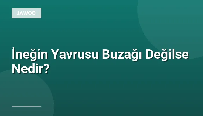 İneğin Yavrusu Buzağı Değilse Nedir?