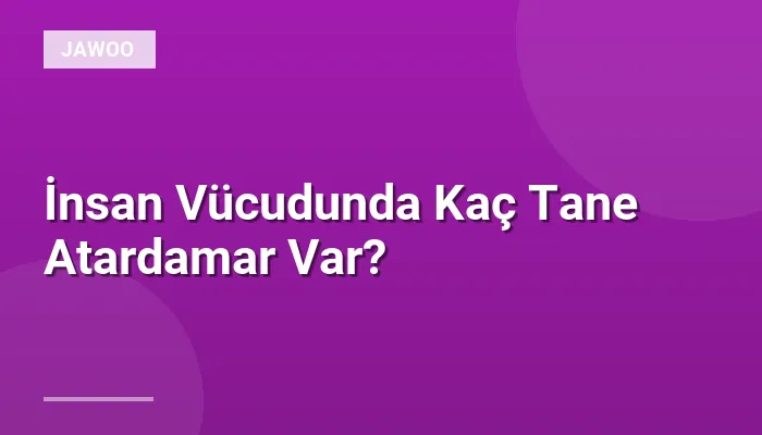 İnsan Vücudunda Kaç Tane Atardamar Var?