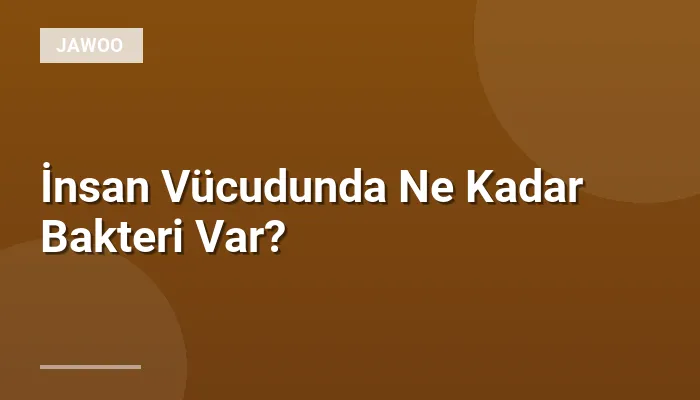 İnsan Vücudunda Ne Kadar Bakteri Var?