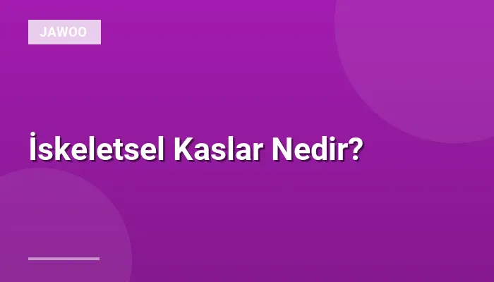 İskeletsel Kaslar Nedir?