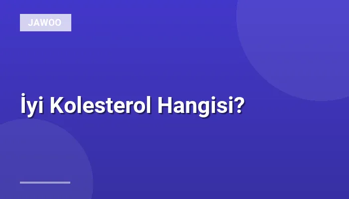İyi Kolesterol Hangisi?