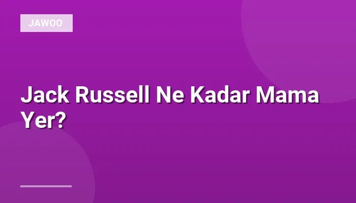 Jack Russell Ne Kadar Mama Yer?