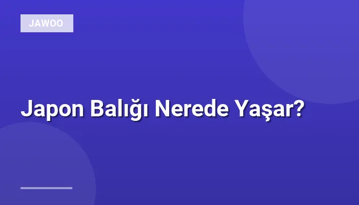 Japon Balığı Nerede Yaşar?