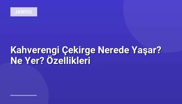 Kahverengi Çekirge Nerede Yaşar? Ne Yer? Özellikleri
