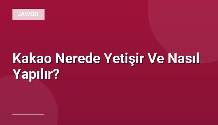 Kakao Nerede Yetişir Ve Nasıl Yapılır?