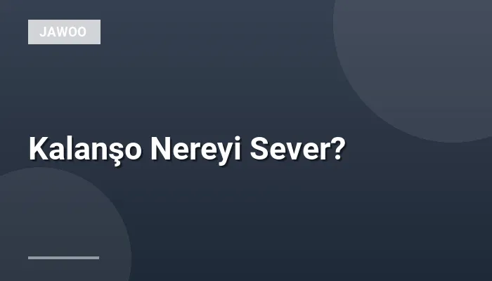 Kalanşo Nereyi Sever?