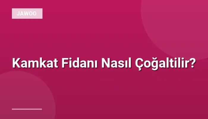 Kamkat Fidanı Nasıl Çoğaltilir?
