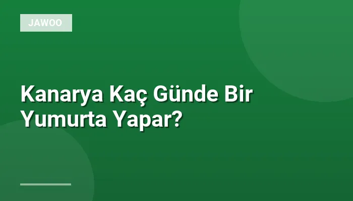 Kanarya Kaç Günde Bir Yumurta Yapar?