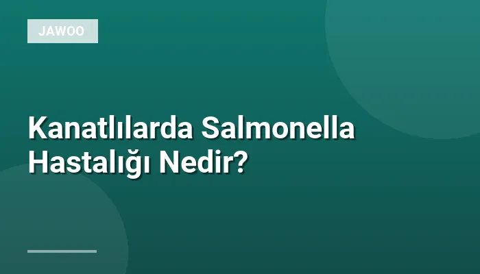 Kanatlılarda Salmonella Hastalığı Nedir?
