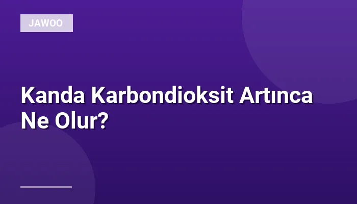 Kanda Karbondioksit Artınca Ne Olur?
