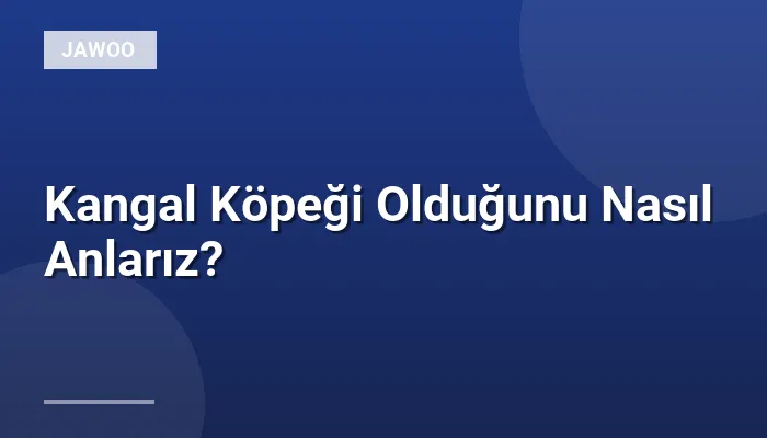 Kangal Köpeği Olduğunu Nasıl Anlarız?
